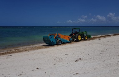 Sargassum beach cleaner